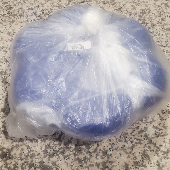 Blue Plastic Storage Bin